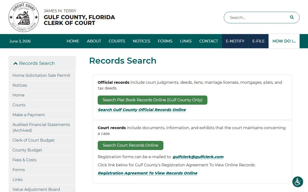 Gulf County clerk record search page for court records after a jail arrest