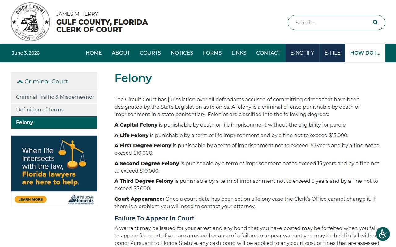 Gulf County clerk felony court guidance for court records after a jail arrest